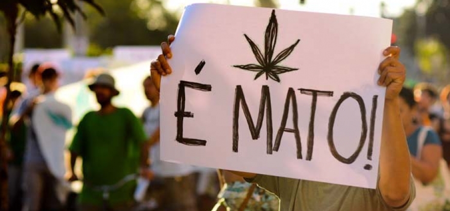 dia da maconha