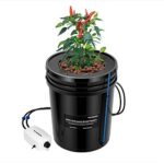 Kit DWC Hidropônico de 5 Galões (18,9 L) - 1 Planta