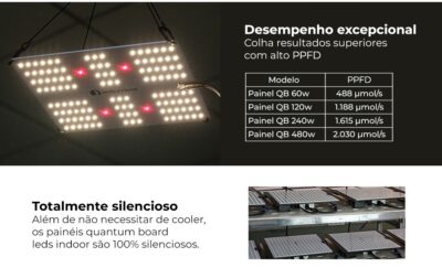 Painel de LED quantum board 240w Samsung LM301H Bivolt Lâmpada para Cultivo Indoor