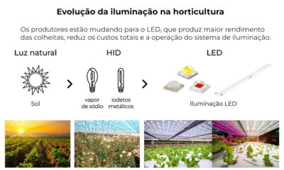 Painel de LED quantum board 240w Samsung LM301H Bivolt Lâmpada para Cultivo Indoor